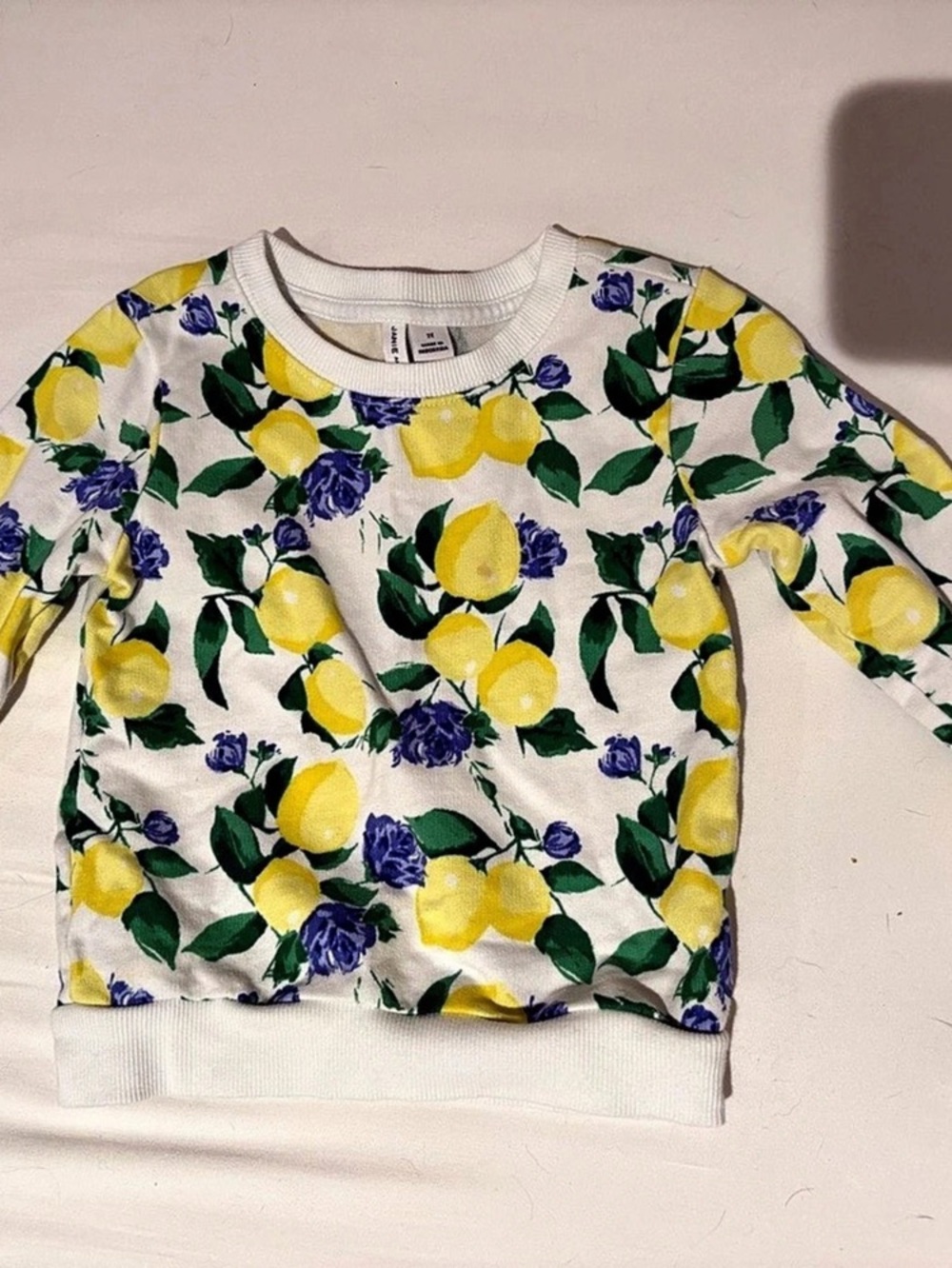 Janie and Jack Floral Sweatshirt Girls 2T in White& Yellow Like New